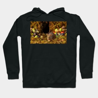 Wild  cute garden mouse Hoodie